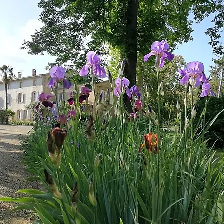 Bed & Breakfast Mon Petit Soulie Loupia